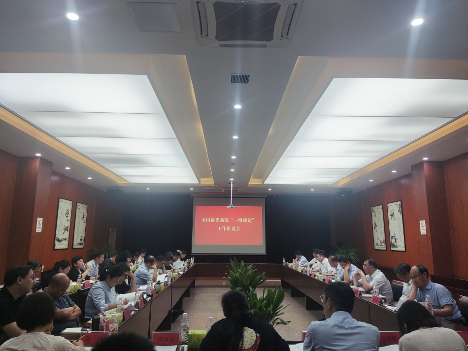 2024年7月17日，市國資委系統(tǒng)在公司開展“三組聯(lián)建”現(xiàn)場觀摩（推進(jìn)會(huì)）_副本